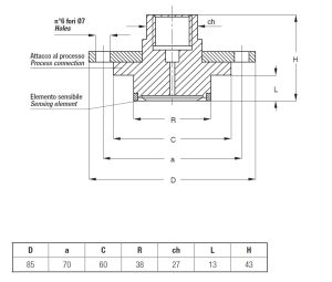 TE.MA. SEP537 Flanged chemical diaphragm seal