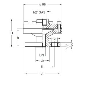 TE.MA. SEP539 Flanged diaphragm seal