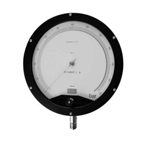 TE.MA. MB800CA250 All st. st. Test gauge