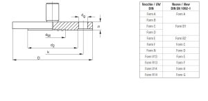 TE.MA. SEP535 Chemical diaphragm seal